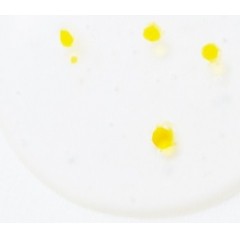 JMsolution Тканевая маска для лица с витамином c Glory Aqua Tocopherol Vitamin C Mask