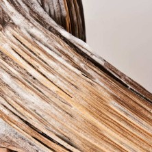 HADAT COSMETICS Увлажняющий шампунь для волос HYDRO NOURISHING MOISTURE SHAMPOO, 800 мл