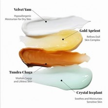 Набор миниатюр спрессованных крем-сывороток BLITHE Pressed Serum Deluxe Collection, 4 шт. по 22 мл