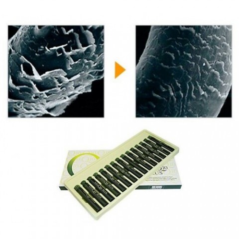 Ампульная сыворотка для поврежденных волос Incus с коэнзимом Q10 Vita Q10 Plus Hair Ampoule, 13 мл. 