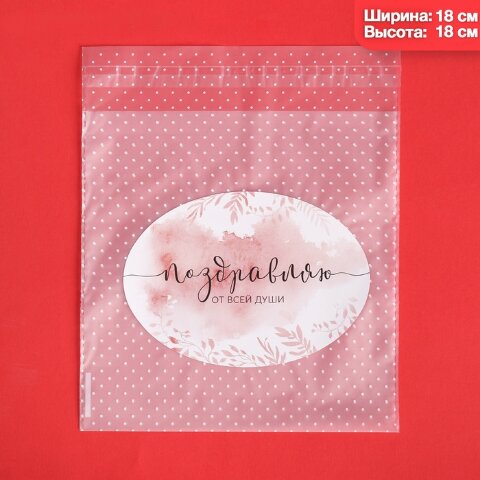 Пакет подарочный "Поздравляю", 18 х 18 см.