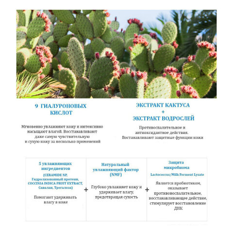 JMsolution Набор тканевых масок для лица с кактусом и водорослями Hyal Cactus + Resurrection Plant + Seaweed Mask