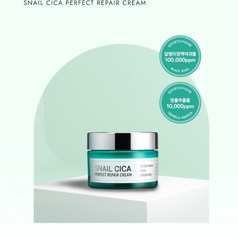 Esthetic House Восстанавливающий крем для лица с муцином улитки и центеллой Snail Cica Perfect Repair Cream