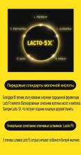 LACTO-FIT Лактофит Голд - пробиотики, пребиотики, корейский синбиотик нового поколения, бифидобактерии, лактобактерии GOLD 5X FORMULA, БАД, 50 саше