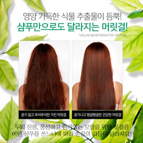 Esthetic House CP-1 Натуральный увлажняющий шампунь для волос для ежедневного применения Daily Moisture Natural Shampoo