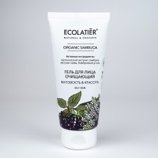 ECOLATIER GREEN Гель для лица очищающий Серия Organic SAMBUKA матовость & красота, 100 мл