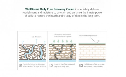 WellDerma Ежедневный восстанавливающий крем для лица Daily Care Recovery Cream, 30 мл.