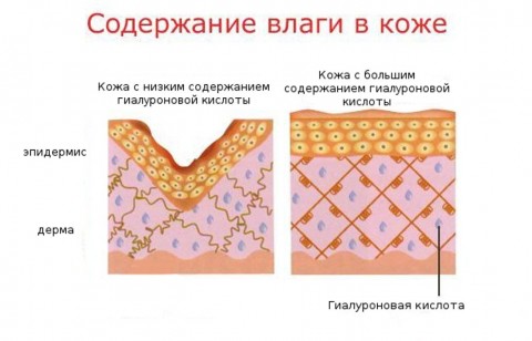 Mijin Маска перчатки для рук с гиалуроновой кислотой Hand Care Pack