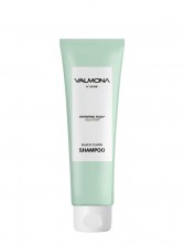 Шампунь против выпадения волос Evas Valmona Аюрведа с черным тмином Ayurvedic Scalp Solution Black Cumin Shampoo, 100 мл.