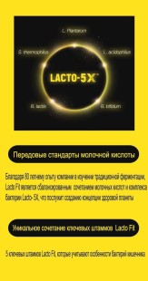 LACTO-FIT Лактофит Голд - пробиотики, пребиотики, корейский синбиотик нового поколения, бифидобактерии, лактобактерии GOLD 5X FORMULA, БАД, 50 саше